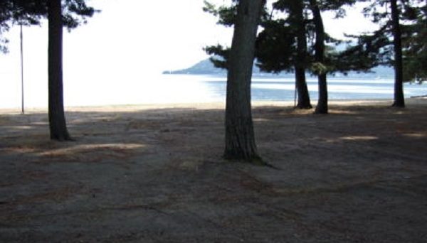 ニュー白浜オートキャンプ場 ニュー白浜オートキャンプ場