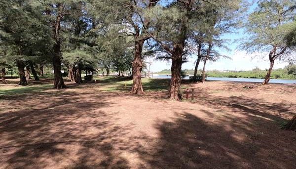 ネイチャーみらい館