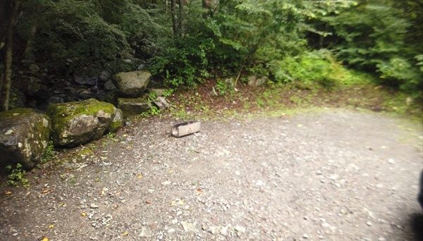 ネイチャーランドオム