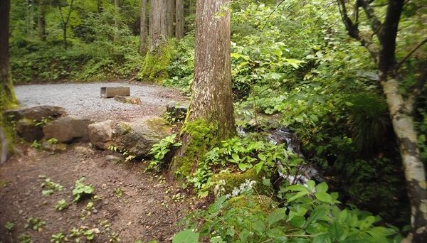 ネイチャーランドオム