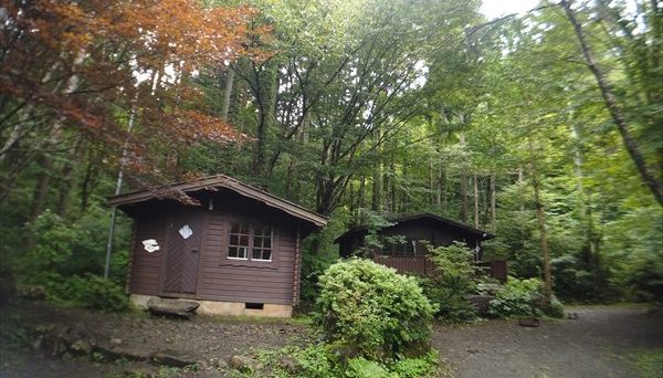 ネイチャーランドオム