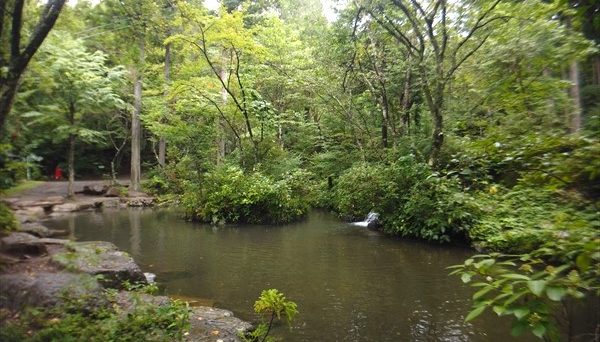 ネイチャーランドオム