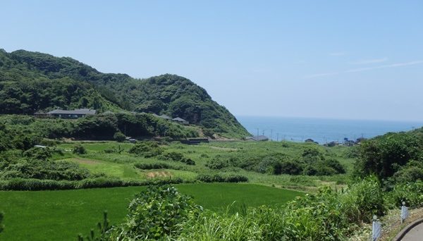 ネイチャーランド椎谷