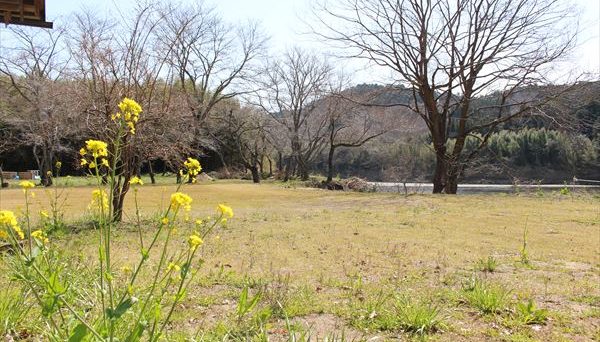 パシフィックリゾートキャンプ場