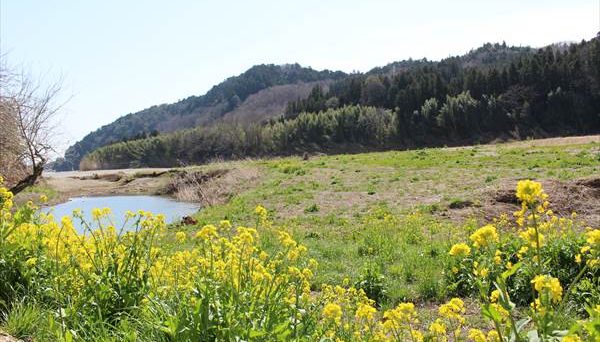 パシフィックリゾートキャンプ場