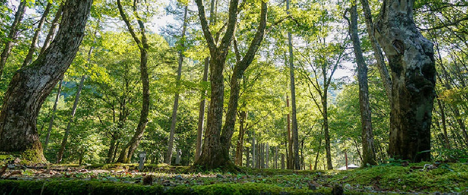 パスカル清見オートキャンプ場