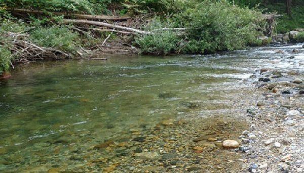 パスカル清見オートキャンプ場 パスカル清見オートキャンプ場