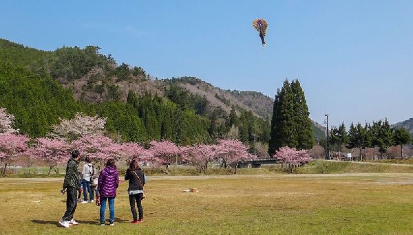 パスカル清見オートキャンプ場 パスカル清見オートキャンプ場