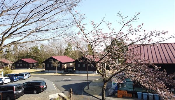 パークアルカディア ケビン村