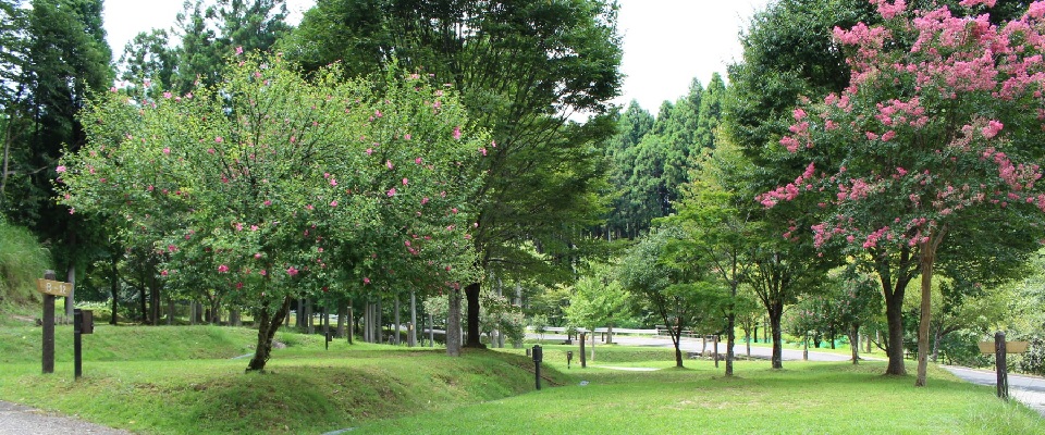 ヒストリーパーク塚原オートキャンプ場