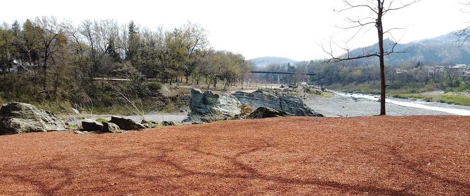 フォレストサンズ長瀞