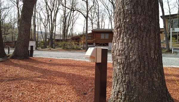 フォレストサンズ長瀞