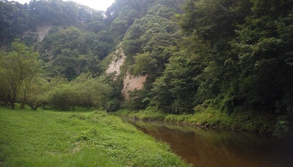 オートキャンプ・フルーツ村 オートキャンプ・フルーツ村