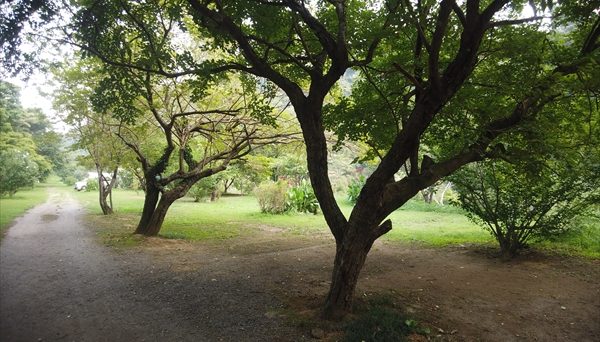 オートキャンプ・フルーツ村.JPG オートキャンプ・フルーツ村