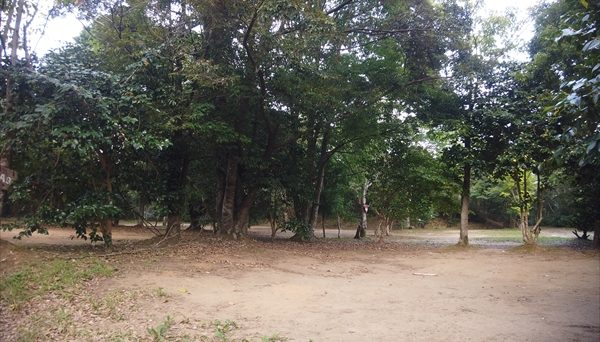 オートキャンプ・フルーツ村 オートキャンプ・フルーツ村