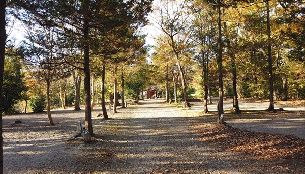 ホリデーキャンプ