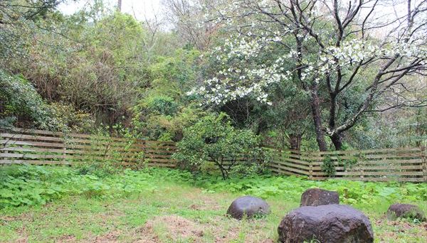 ボンヌ・ジュルネ