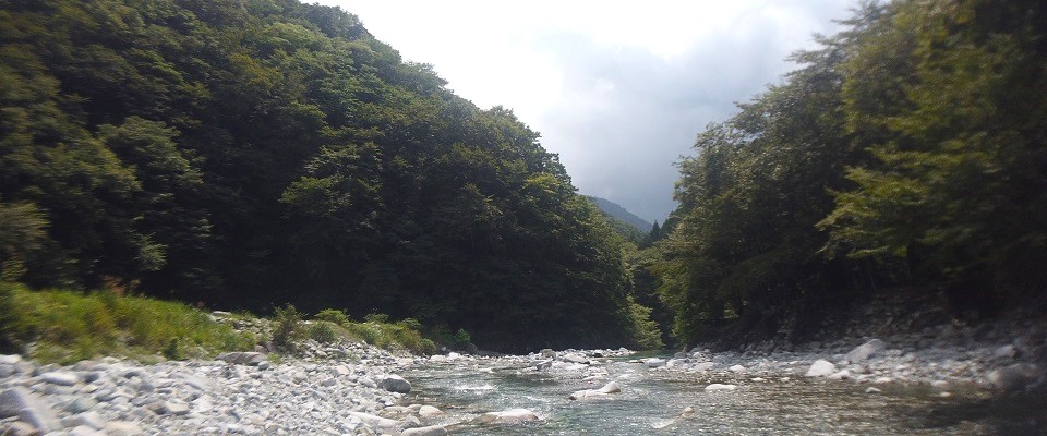 西丹沢マウントブリッジキャンプ場