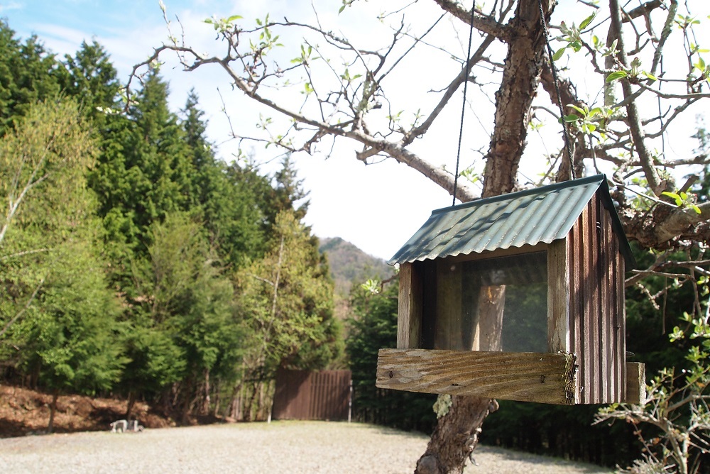 マキオカネイチャークラブ