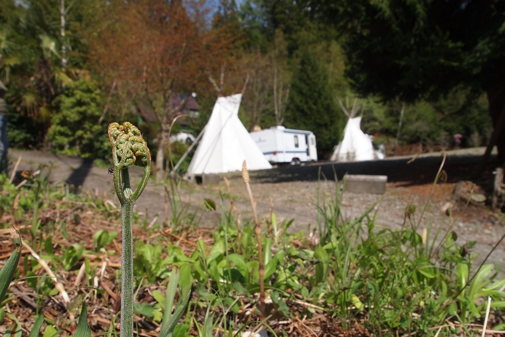 マキオカネイチャークラブ