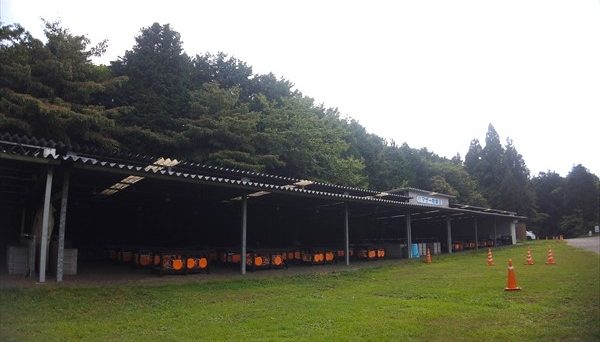 マザー牧場キャンプ場