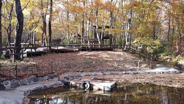 メープル那須高原キャンプグランド