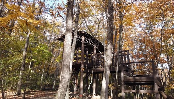 メープル那須高原キャンプグランド