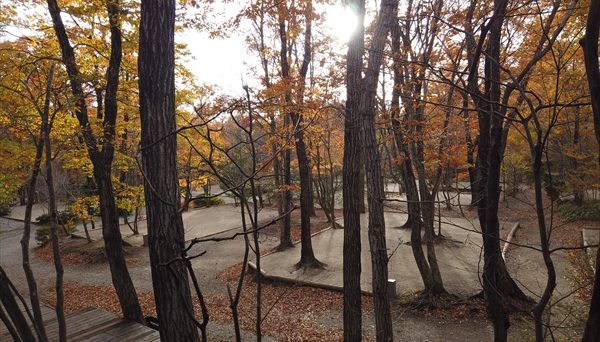 メープル那須高原キャンプグランド