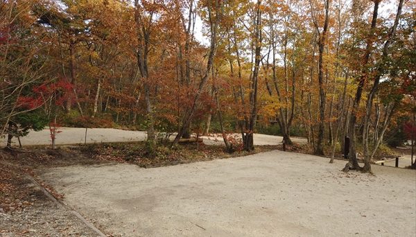 メープル那須高原キャンプグランド