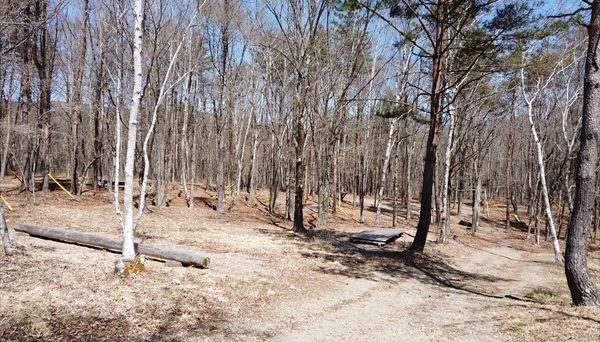 ライジングフィールド軽井沢