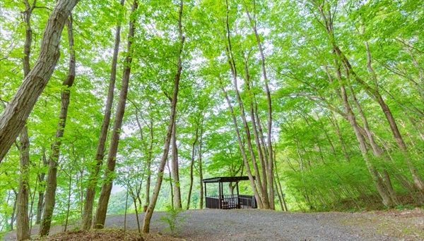 リトリートフィールドMahora稲穂山