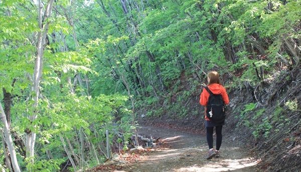 リトリートフィールドMahora稲穂山