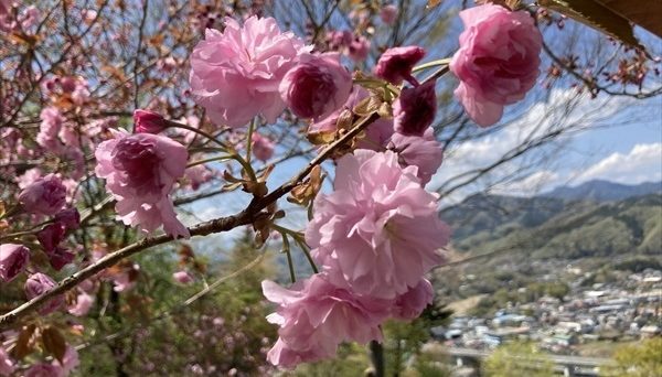 リトリートフィールドMahora稲穂山