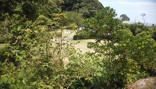 ワイルドキッズ岬オートキャンプ場 ワイルドキッズ岬オートキャンプ場