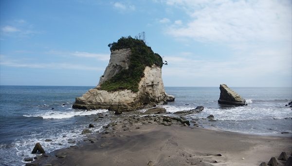 ワイルドキッズ岬オートキャンプ場 ワイルドキッズ岬オートキャンプ場
