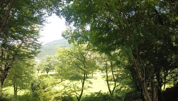 上島キャンプ場