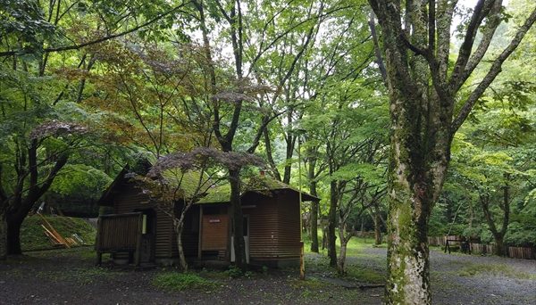 不動の滝自然公園オートキャンプ場