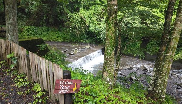 不動の滝自然公園オートキャンプ場