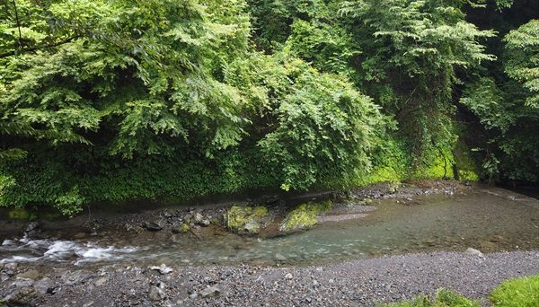 不動の滝自然公園オートキャンプ場