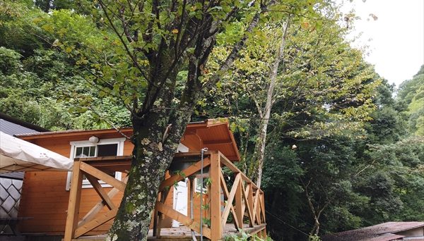 久保キャンプ場