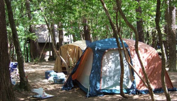 久多キャンプ場・オートキャンプ場