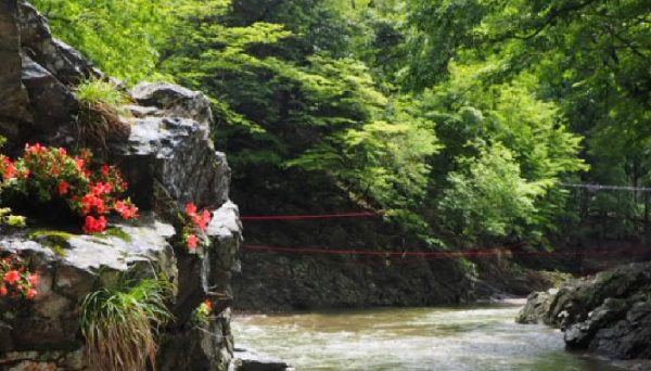 久多キャンプ場・オートキャンプ場