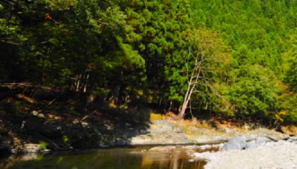 久多キャンプ場・オートキャンプ場