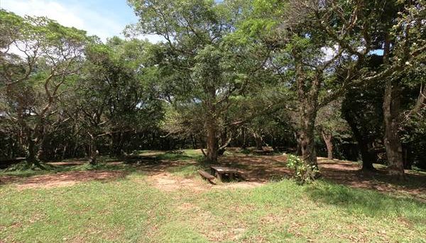 乙羽岳森林公園