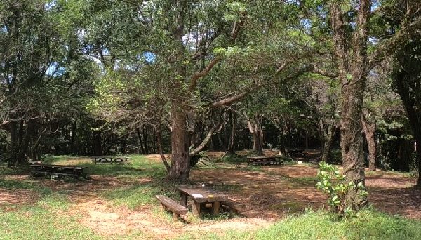 乙羽岳森林公園