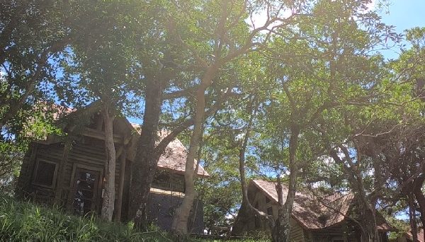 乙羽岳森林公園