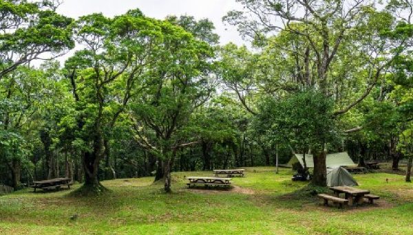 乙羽岳森林公園