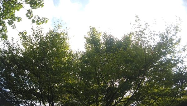 亀山湖キャンプ場 亀山湖キャンプ場