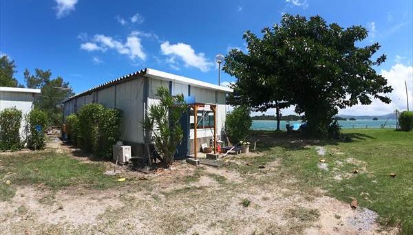 今帰仁海辺のキャンプ場