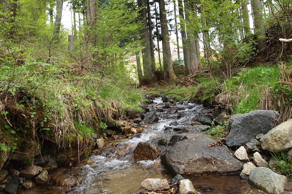 伊那谷キャンパーズヴィレッジ